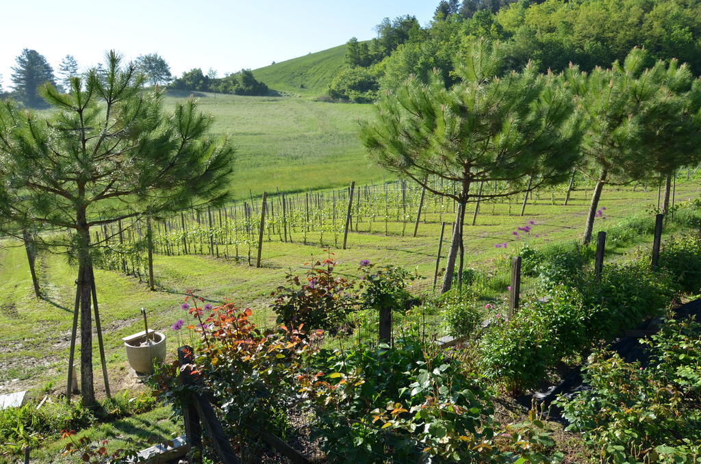 Cascina Castagneto Hotel CastellʼAlfero Buitenkant foto